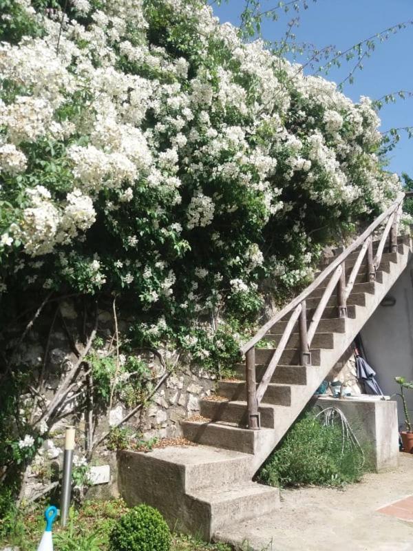 Pietra Rosa Panzió Tramonti Kültér fotó